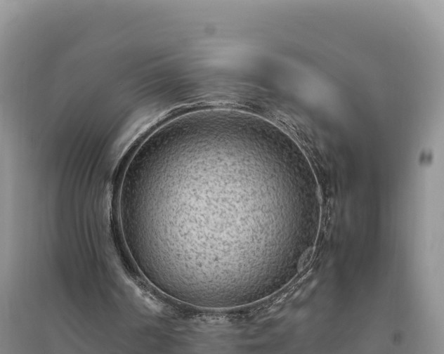 X0000094340194200711091437