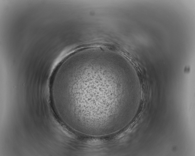 X0000094340198200711091437