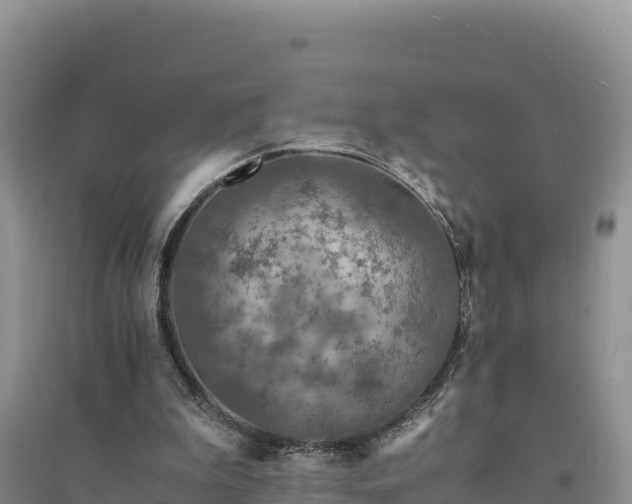 X0000094340199200711091437