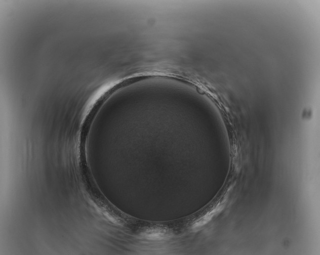 X0000094340200200711091437