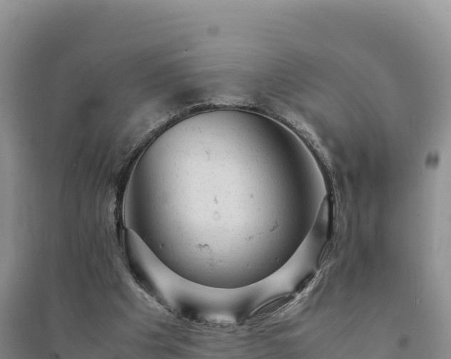 X0000094340201200711091437