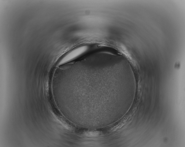 X0000094340202200711091437