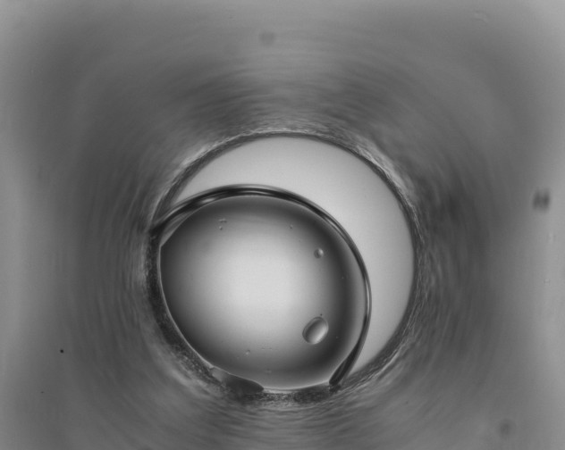X0000094340203200711091437