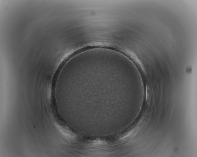 X0000094340204200711091437