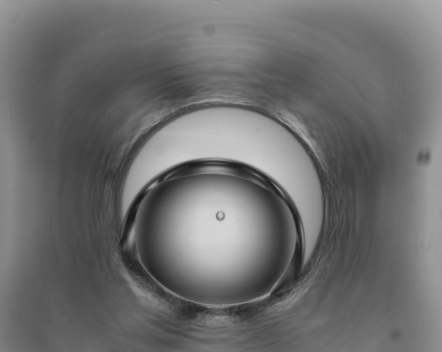 X0000094340205200711091437
