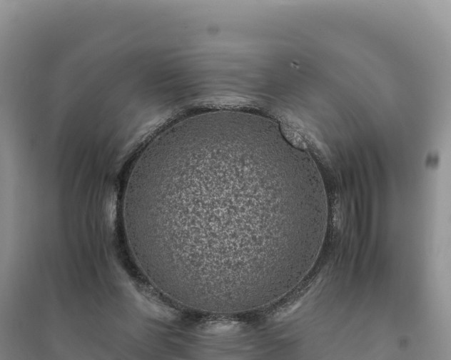 X0000094340206200711091437