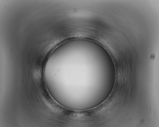 X0000094340208200711091437
