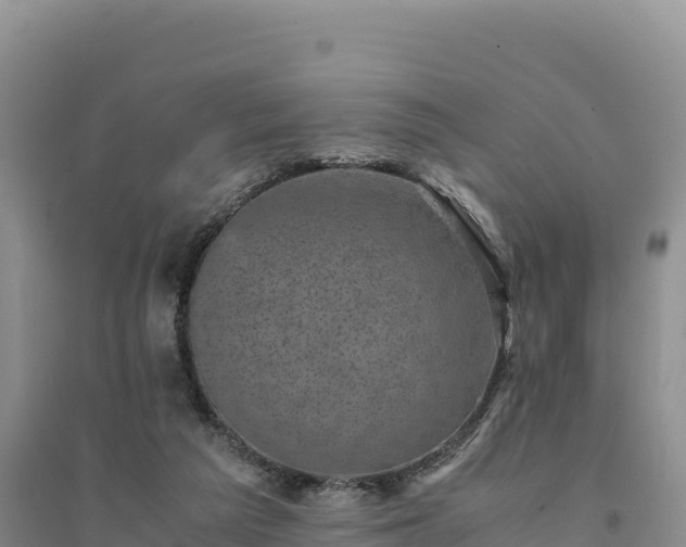 X0000094340209200711091437