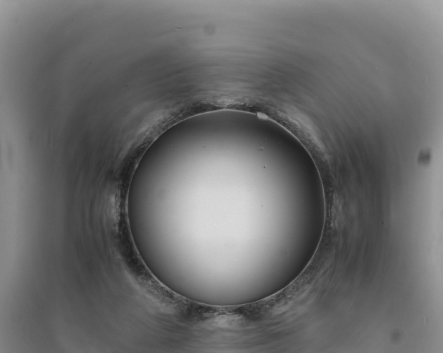 X0000094340210200711091437