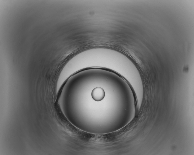 X0000094340211200711091437