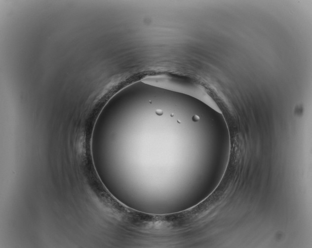 X0000094340212200711091437