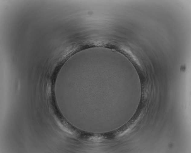 X0000094340213200711091437
