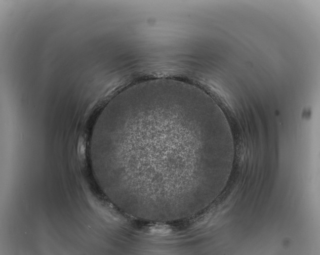 X0000094340214200711091437
