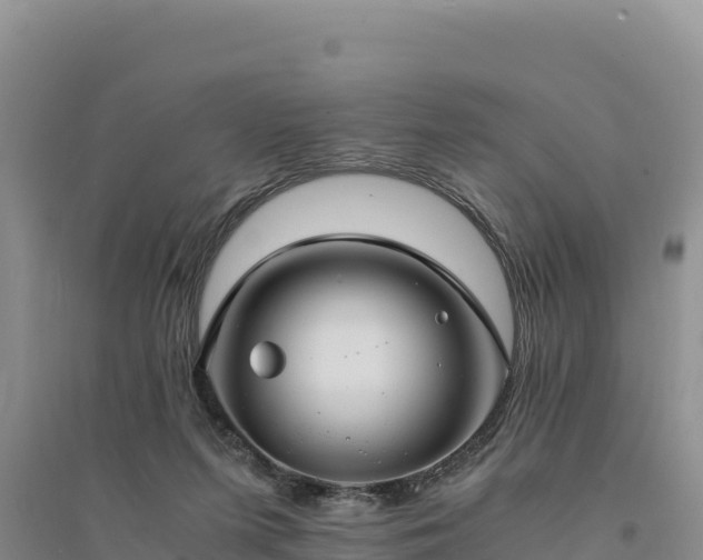 X0000094340215200711091436