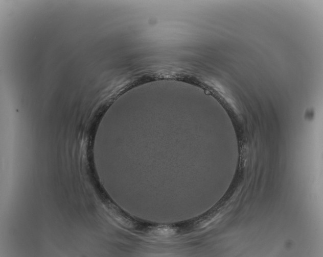 X0000094340217200711091436