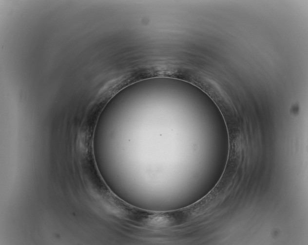 X0000094340218200711091436