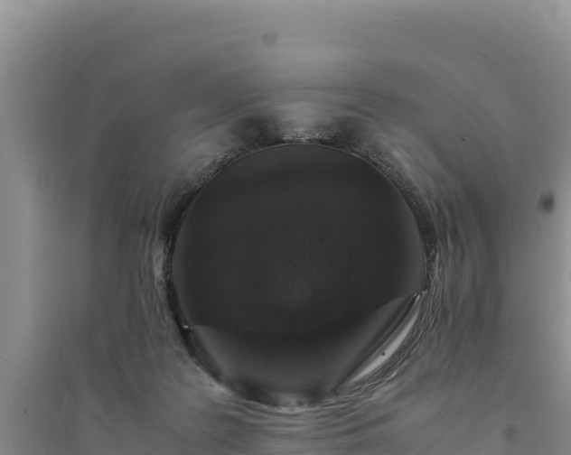 X0000094340219200711091436