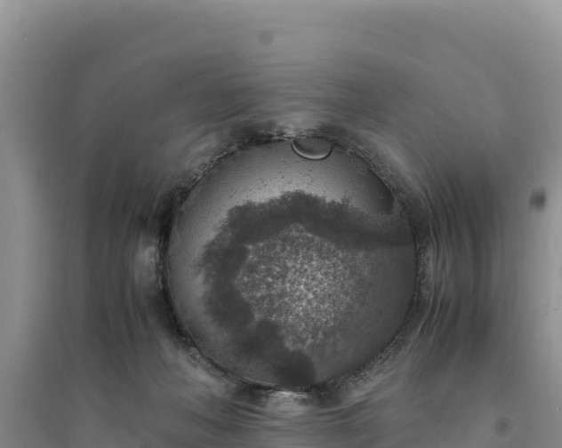 X0000094340222200711091436