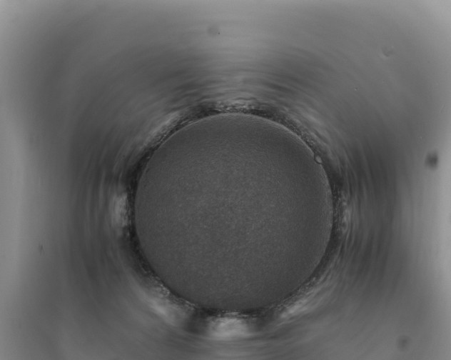 X0000094340224200711091436