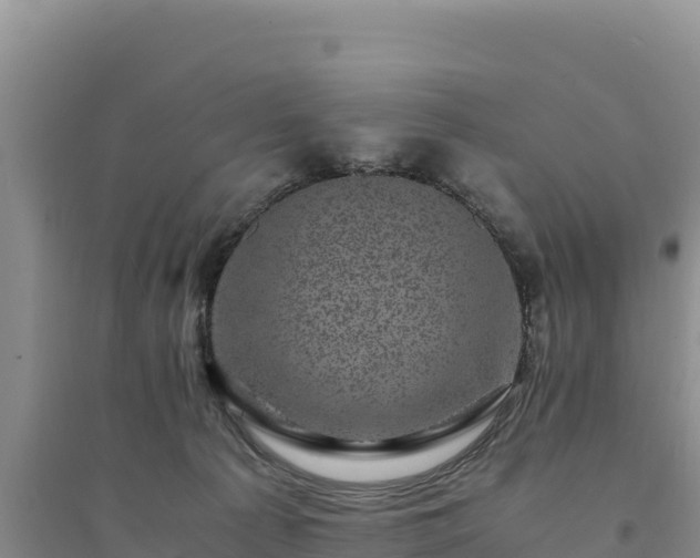 X0000094340225200711091436