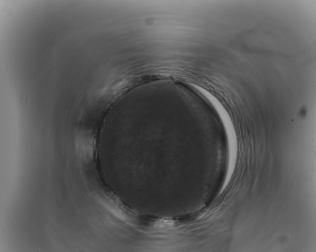 X0000094340227200711091436