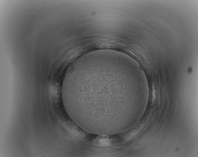 X0000094340228200711091436