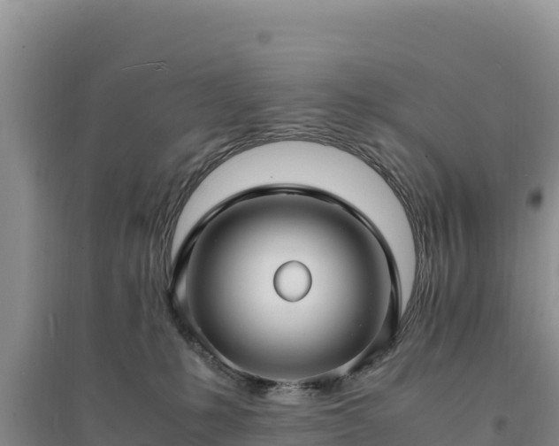 X0000094340231200711091436
