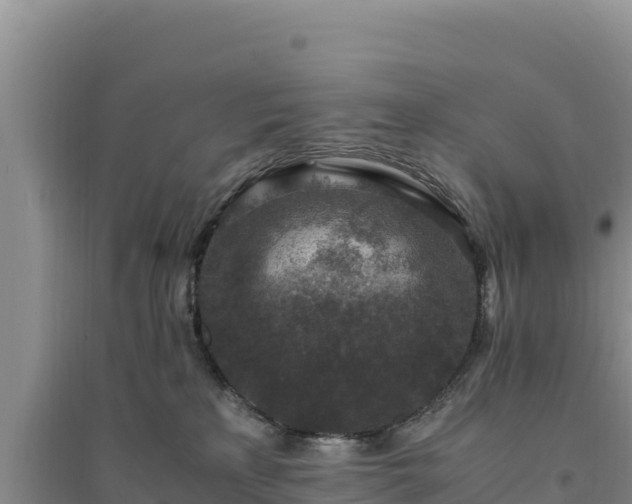 X0000094340233200711091436