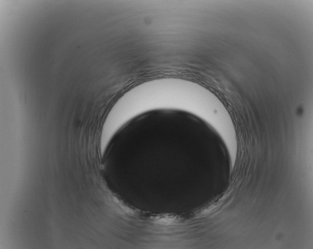 X0000094340235200711091436