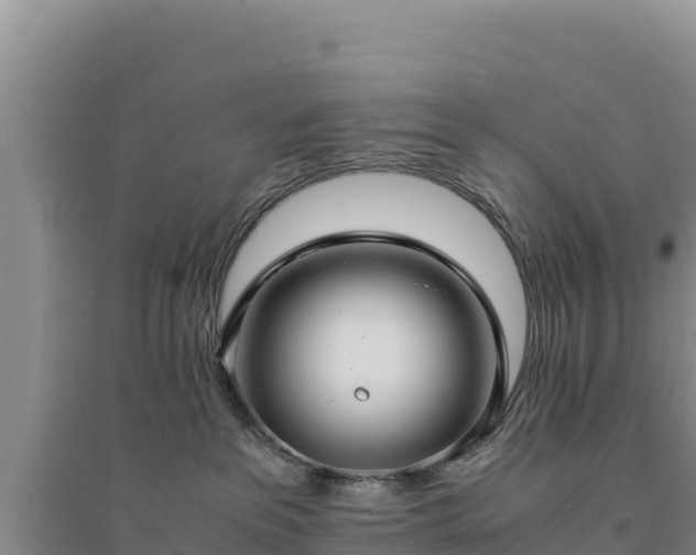 X0000094340237200711091436