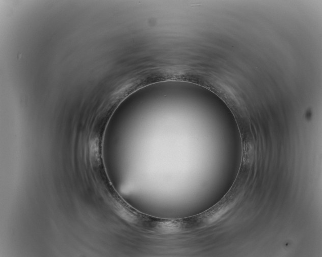 X0000094340238200711091436