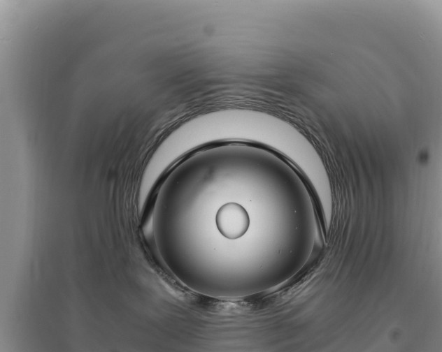 X0000094340239200711091436