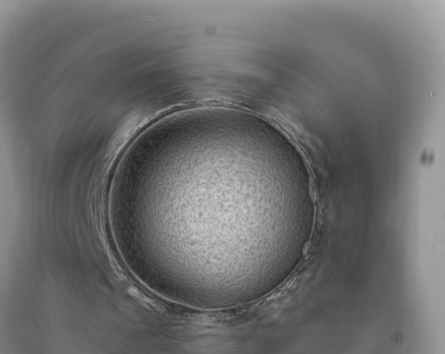 X0000094340241200711091435