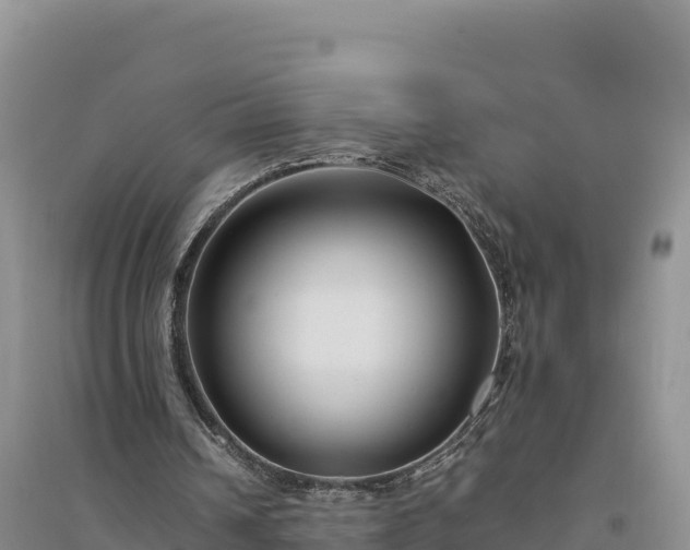 X0000094340242200711091435