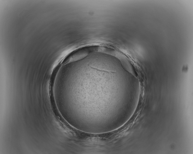 X0000094340244200711091435