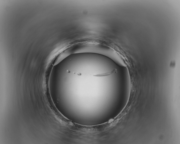 X0000094340245200711091435