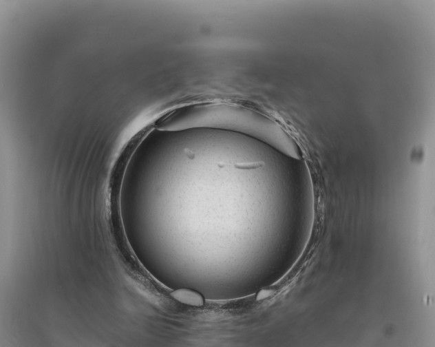 X0000094340246200711091435