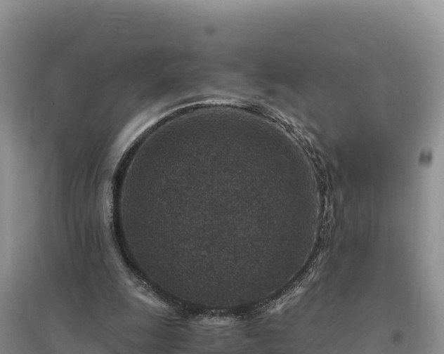 X0000094340247200711091435