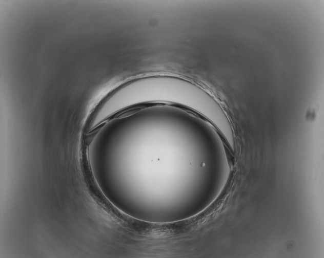 X0000094340248200711091435