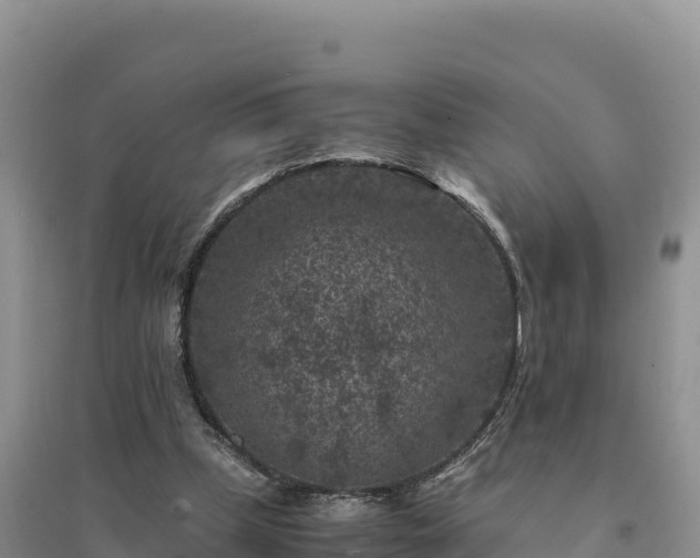 X0000094340249200711091435