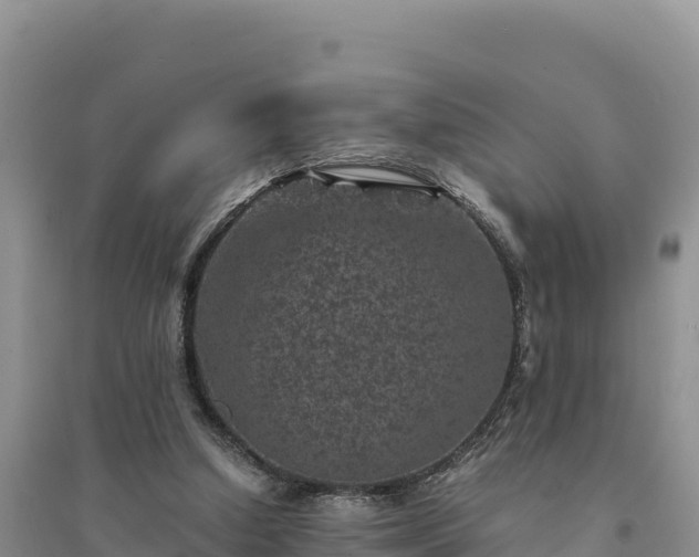 X0000094340250200711091435