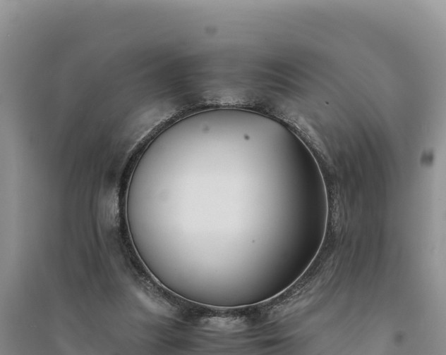 X0000094340251200711091435