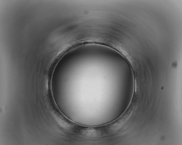 X0000094340253200711091435