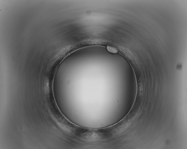 X0000094340254200711091435