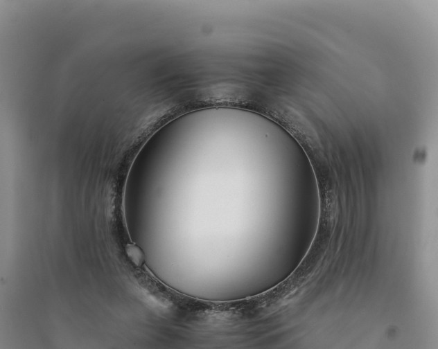 X0000094340255200711091435