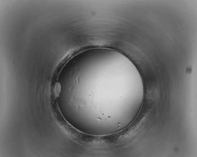 X0000094340256200711091436