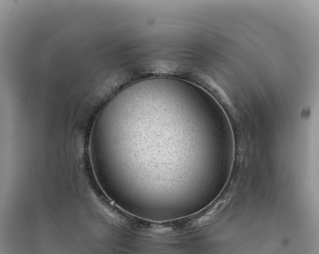 X0000094340257200711091436