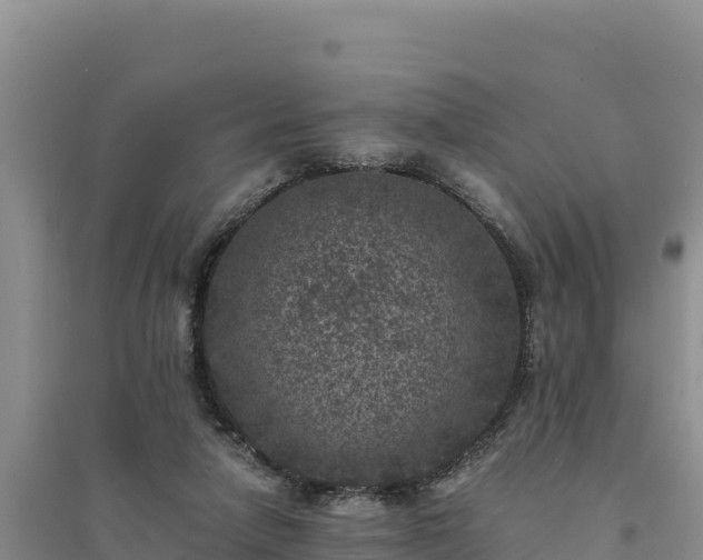 X0000094340258200711091436
