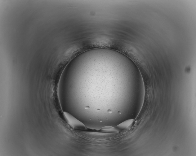 X0000094340259200711091436