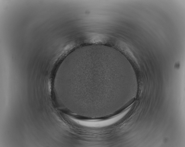 X0000094340260200711091436